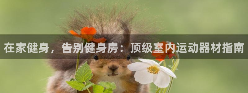 意昂3娱乐代理怎么样：在家健身，告别健身房：顶级室内