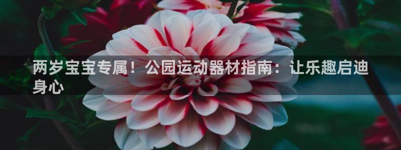 意昂3集团：两岁宝宝专属！公园运动器材指南：让乐趣启