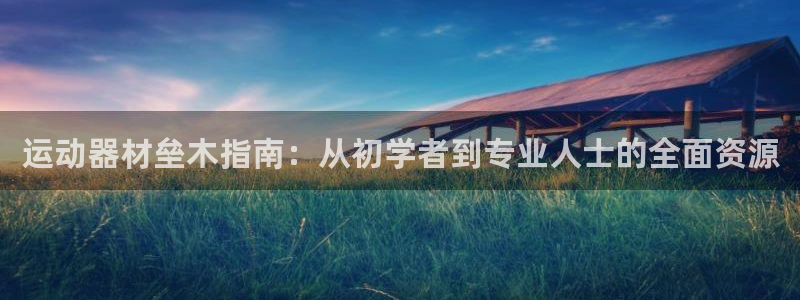 意昂体育3平台假的吗是真的吗：运动器材垒木指南：从初