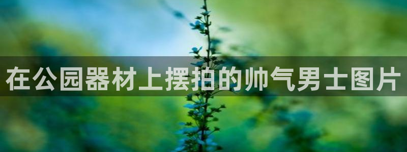 意昂3娱乐网站：在公园器材上摆拍的帅气男士图片