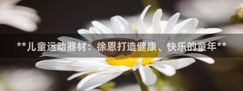 意昂3集团官网首页：**儿童运动器材：徐恩打造健康、