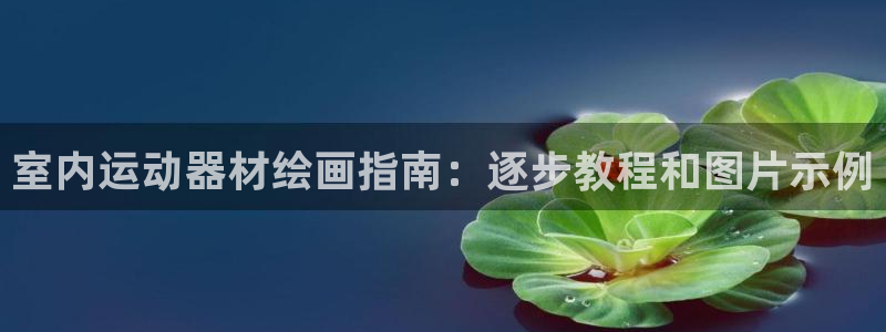 意昂体育3平台注册要钱吗：室内运动器材绘画指南：逐步