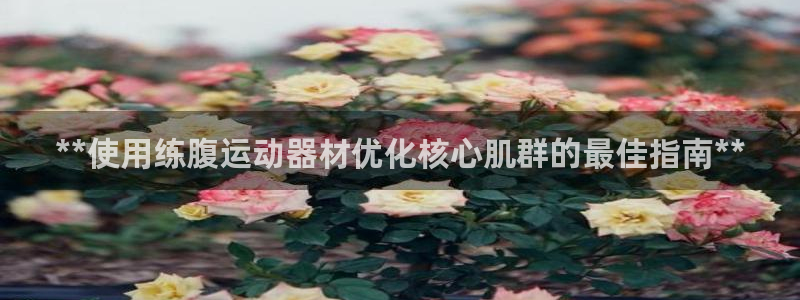 意昂体育3软件：**使用练腹运动器材优化核心肌群的最