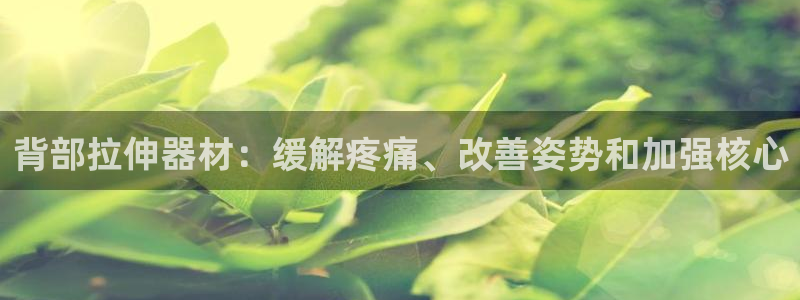 意昂体育3软件：背部拉伸器材：缓解疼痛、改善姿势和加
