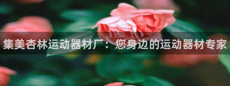 意昂体育3招商电话地址：集美杏林运动器材厂：您身边的