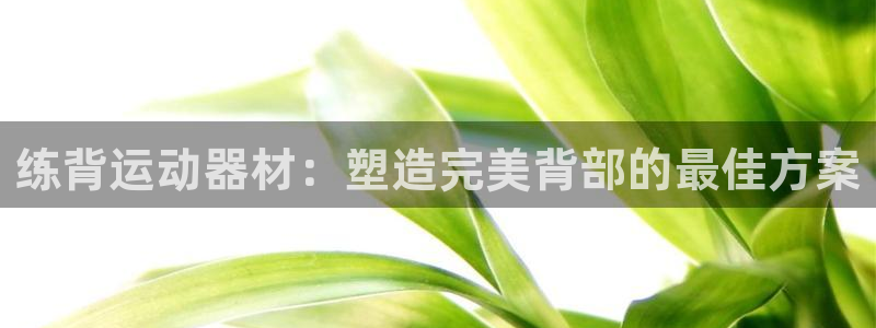 意昂3娱乐下载：练背运动器材：塑造完美背部的最佳方案