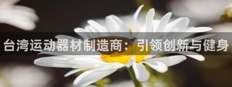 意昂3娱乐网站：台湾运动器材制造商：引领创新与健身