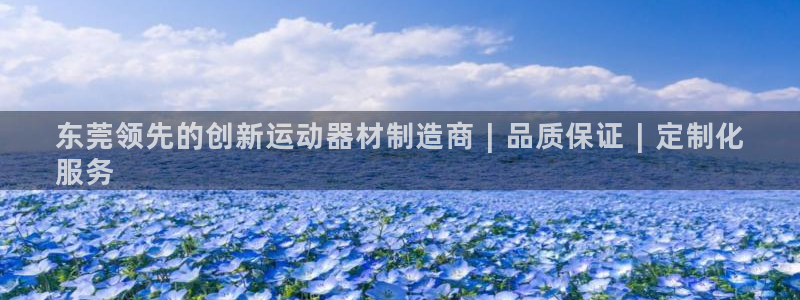 意昂3娱乐代理怎么样：东莞领先的创新运动器材制造商︱