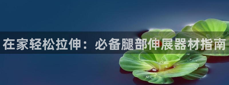 意昂体育3招商电话号码：在家轻松拉伸：必备腿部伸展器