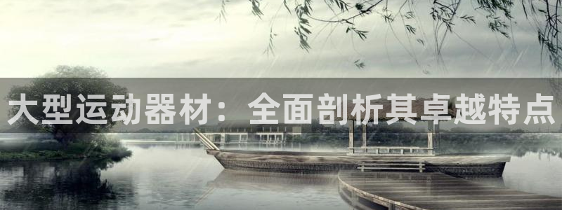 意昂3娱乐首页网站大全：大型运动器材：全面剖析其卓越