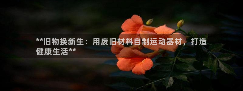 意昂3娱乐是那个系列的台子：**旧物换新生：用废旧材