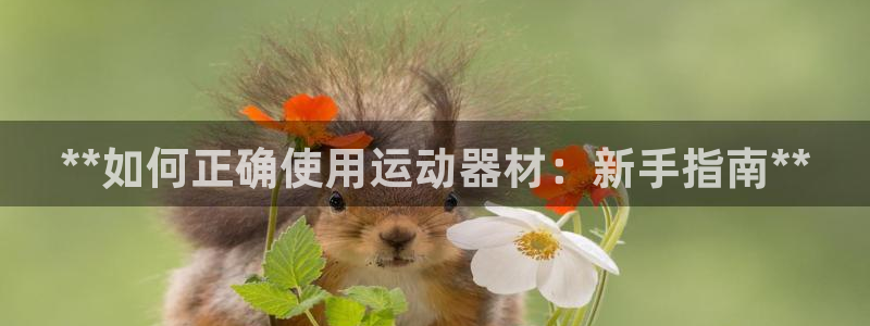 意昂3娱乐代理怎么样：**如何正确使用运动器材：新手