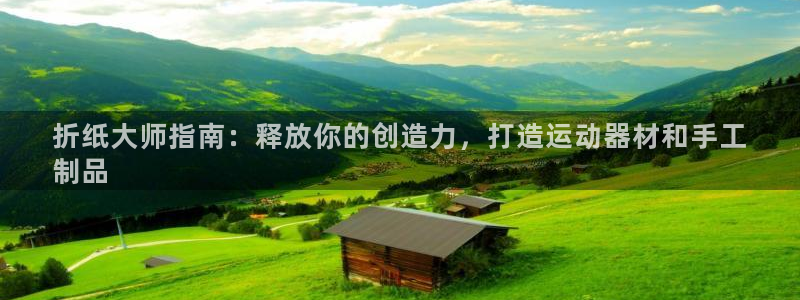 意昂体育3娱乐：折纸大师指南：释放你的创造力，打造运