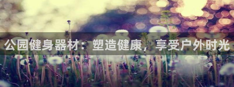 意昂体育3是干嘛的公司：公园健身器材：塑造健康，享受