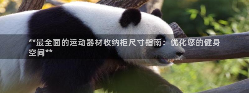 意昂体育3招商电话号码是多少啊：**最全面的运动器材