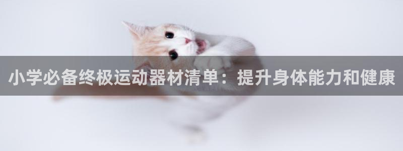 意昂体育3招商：小学必备终极运动器材清单：提升身体能