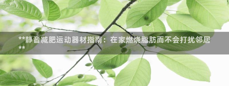 意昂3娱乐是那个系列的台子：**静音减肥运动器材指南