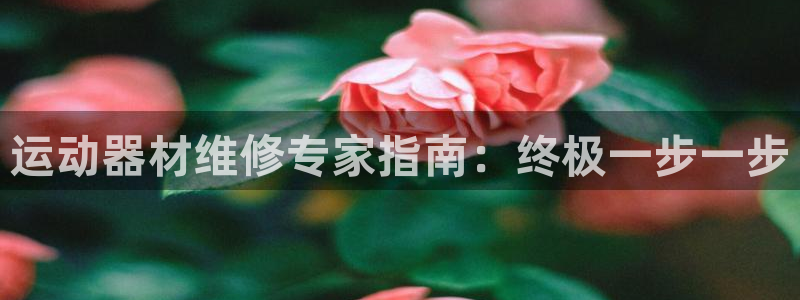 意昂体育3：运动器材维修专家指南：终极一步一步