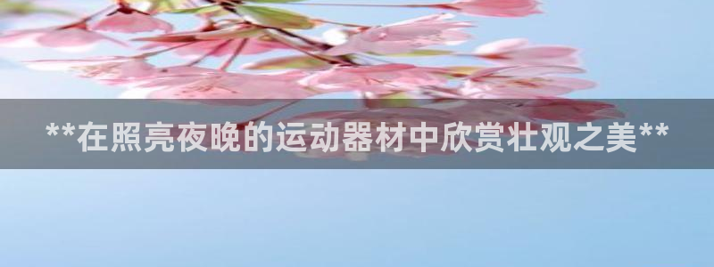 意昂3开户：**在照亮夜晚的运动器材中欣赏壮观之美*