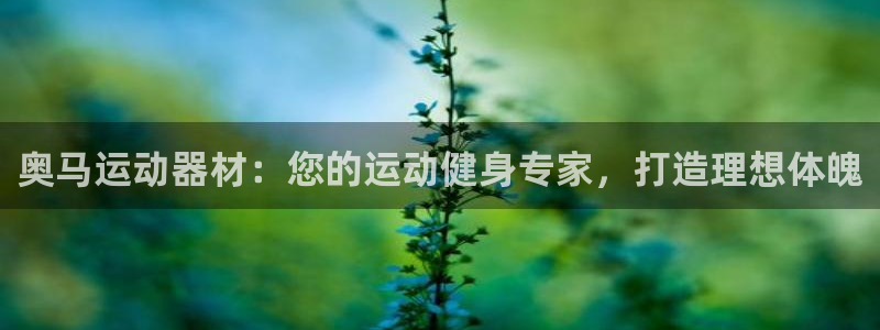 意昂体育3平台是正规平台吗：奥马运动器材：您的运动健