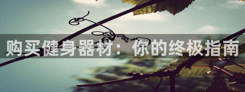 意昂体育3招商电话是多少：购买健身器材：你的终极指南