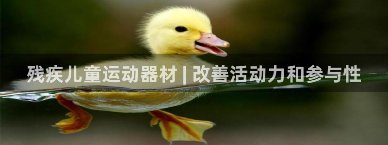 德国意昂3集团：残疾儿童运动器材 | 改善活动力和参