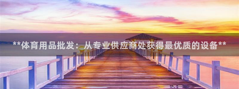 意昂3科技：**体育用品批发：从专业供应商处获得最优