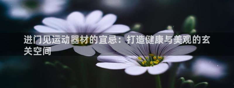 意昂3新能源：进门见运动器材的宜忌：打造健康与美观的