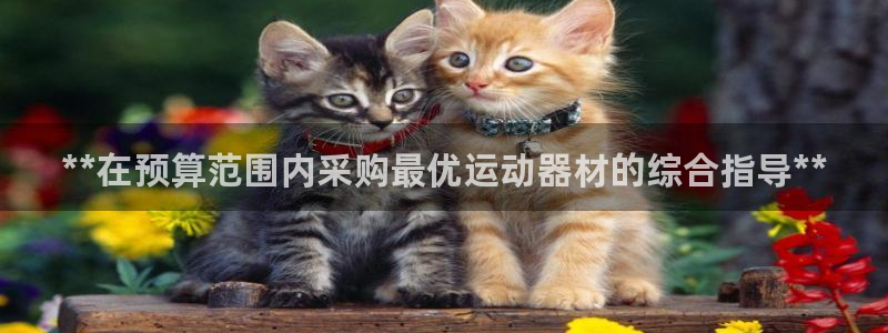 注册意昂3：**在预算范围内采购最优运动器材的综合指
