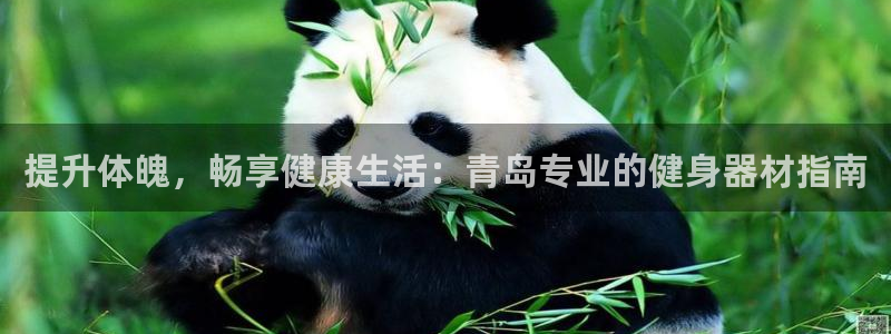 意昂体育3是干嘛的公司：提升体魄，畅享健康生活：青岛