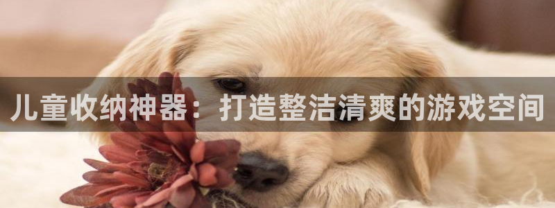 意昂体育3平台注册要钱吗：儿童收纳神器：打造整洁清爽