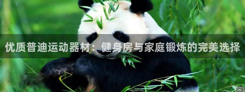 德国意昂3集团：优质普迪运动器材：健身房与家庭锻炼的