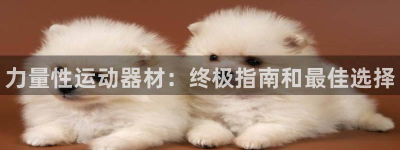 意昂体育3平台注册流程视频：力量性运动器材：终极指南