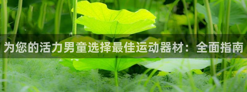 意昂3娱乐40996：为您的活力男童选择最佳运动器材：全面指