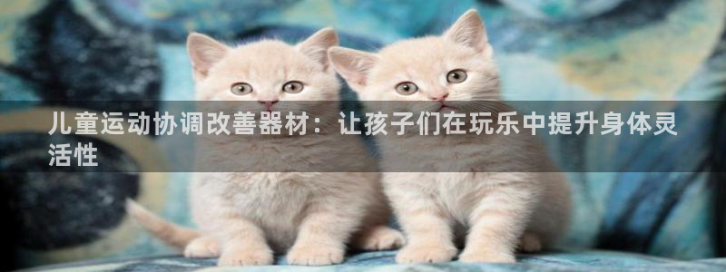 意昂体育3平台是正规平台吗：儿童运动协调改善器材：让孩子们在