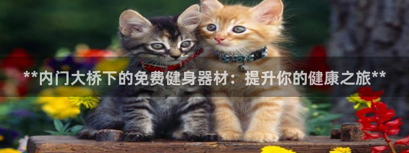 意昂体育3招商电话是多少啊：**内门大桥下的免费健身