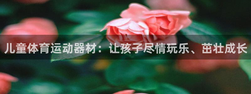 意昂3娱乐网站：儿童体育运动器材：让孩子尽情玩乐、茁