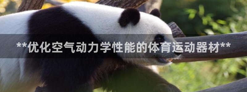意昂体育3平台注册要钱吗：**优化空气动力学性能的体