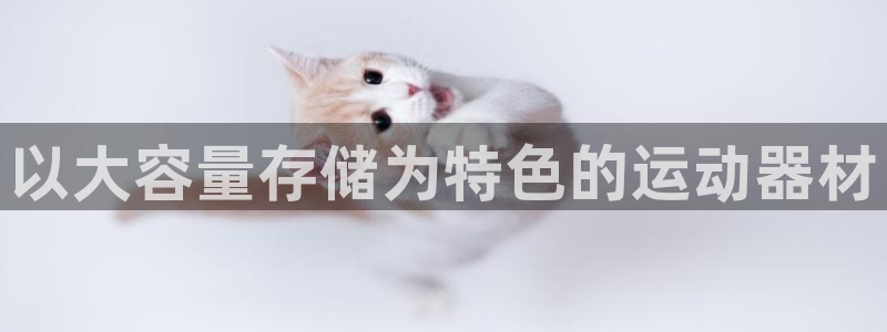 意昂3官网：以大容量存储为特色的运动器材
