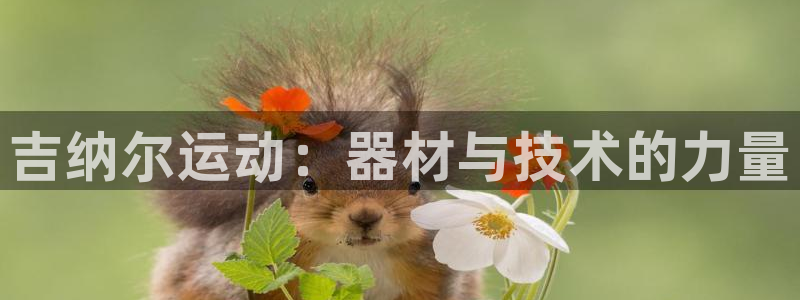 意昂体育3招商电话是多少